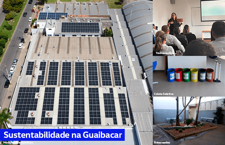 Conheça as ações de Sustentabilidade da Guaibacar Sertório.