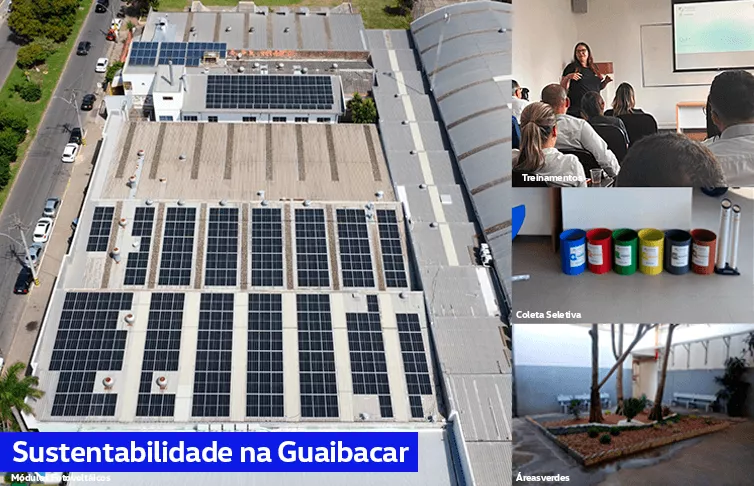 Conheça as ações de Sustentabilidade da Guaibacar Sertório.